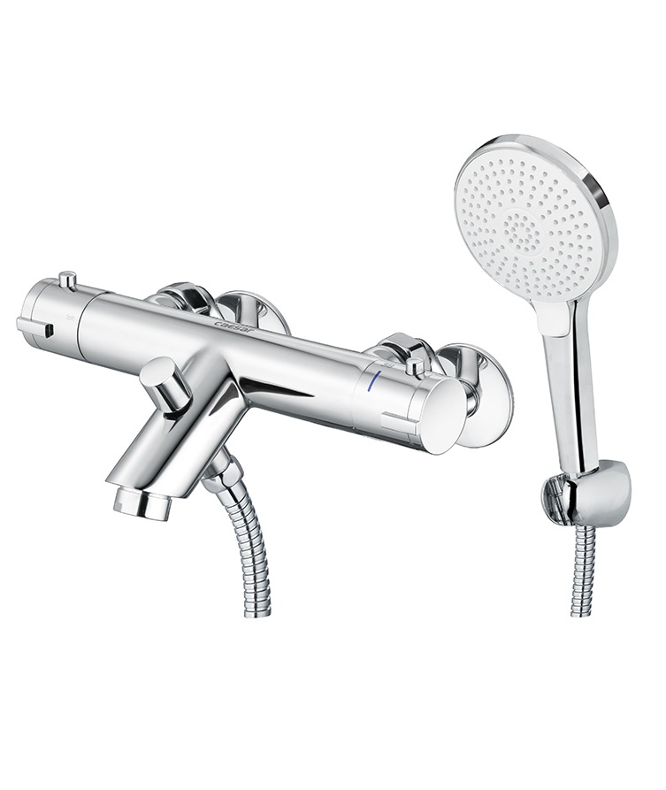 Sen nhiệt độ - TS617