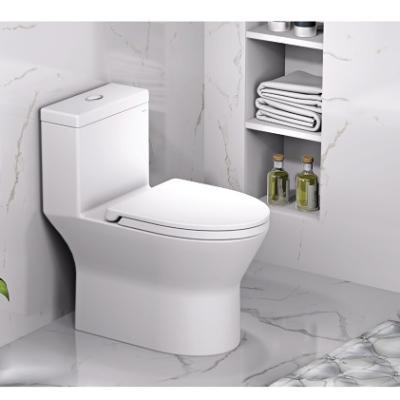 Bàn cầu 1 khối C1374