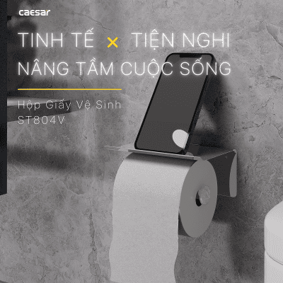 Hộp giấy vệ sinh ST804V