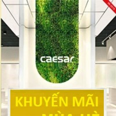 Khuyến mãi mùa hè 01-06-2019