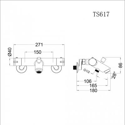 Sen nhiệt độ - TS617